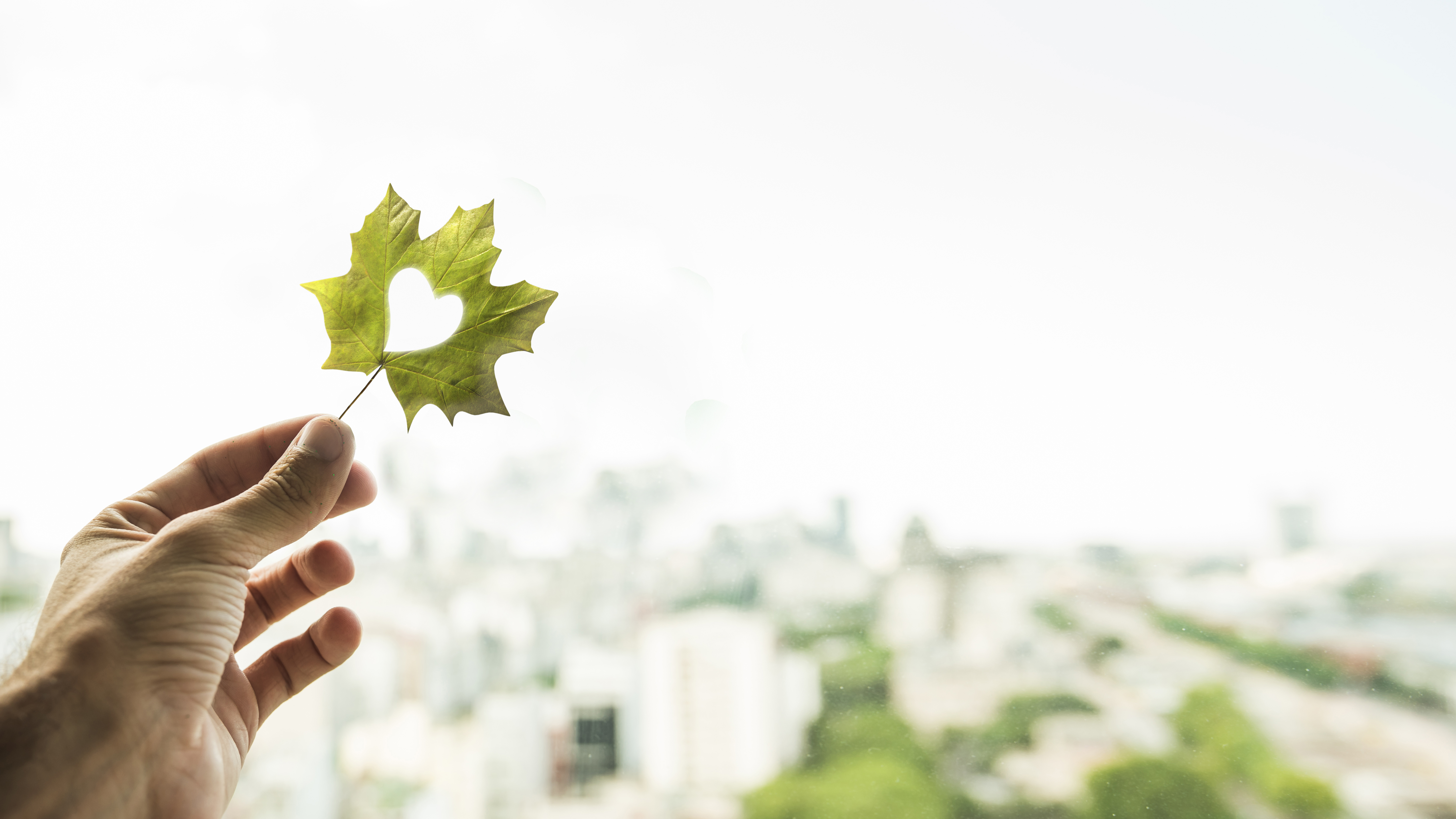 Shavik Solutions team discussing sustainable business strategies